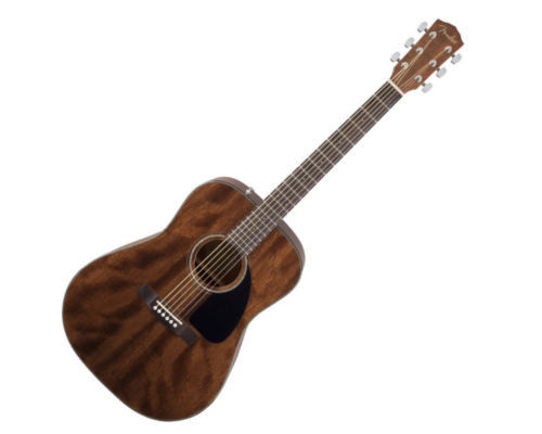 Acoustic Guitars