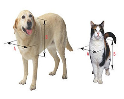 Ideal Pet Doors Screen Guard Pet Door, Extra Large, 10.5