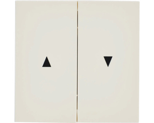 Alte Generation Gira 0294112 Wippe 2-Fach Mit Pfeilsymbol FlÃ¤Chenschalter Reinwe