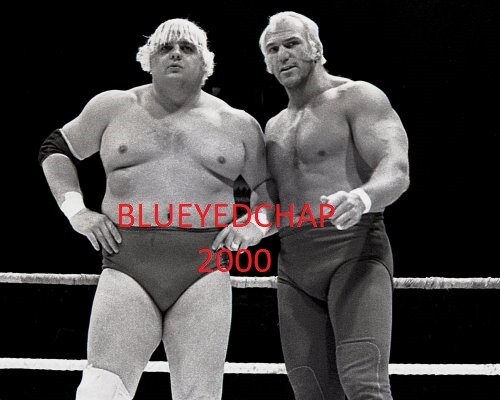 WWE ダスティーローデス 53点のレスラー ダスティ・ローデスの写真と高解像度写真