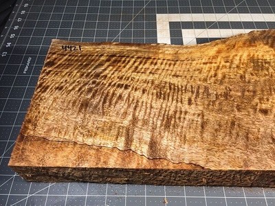 Hawaiian Curly Mango Luthier Blank! Extreme Curl And Beautiful Color