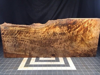 Hawaiian Curly Mango Luthier Blank! Extreme Curl And Beautiful Color