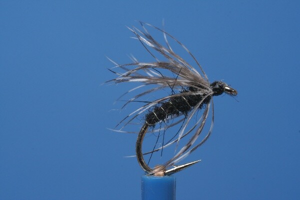 Fliegentom Mouche MouillÃ©E 3 PiÃ¨Ces BÃ©Cassine Noire Spider