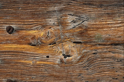 Society6 ケース Wood grain 751062 Wood Grain Sheet Of Weathered Timber A4 Photo Texture