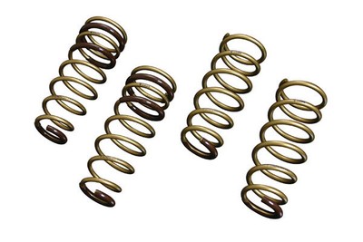 TEIN H.Tech Lowering Springs for 08-11 Lexus IS F (USE20L)