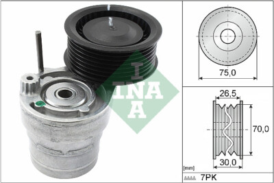 534 0603 10 INA Tendicinghia, Cinghia Poly-V per RENAULT,SMART