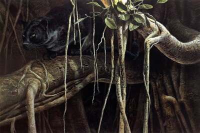 John Seerey-Lester - Banyan Ambush - Panther (Excellent Condition) - Litho - S/N