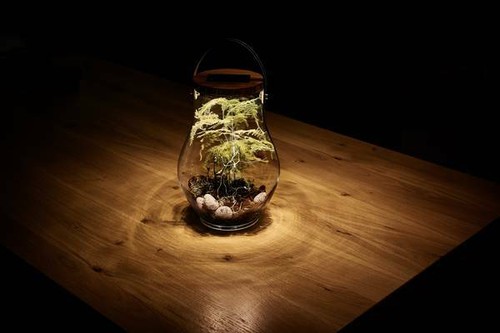 Krinner Lumix Solar Powered Home Decoration Glass LED Display Jar, Bold, 13.5"