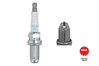 Spark Plugs Set 4x fits AUDI A2 8Z0 1.4 00 to 05 NGK 101000033AA 101000051AC New