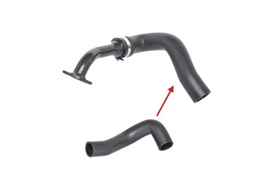BUGIAD 88567 Charger Air Hose for FIAT