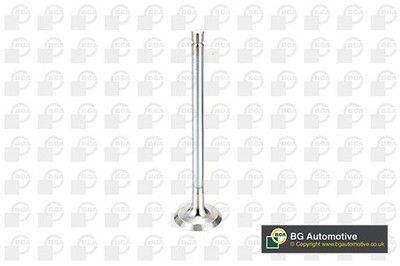 Exhaust Valve BGA V998717
