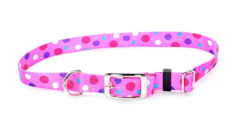 Plastic Dog Collars