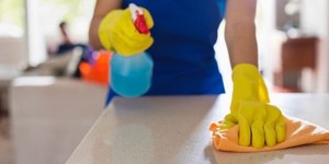 Door to Door Cleaning Services : Sydney City Inner Sydney Preview