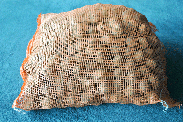 10 KG BIO-Walnüsse  Ernte 2019 als Futter für z.B. Nager, Eichhörnchen