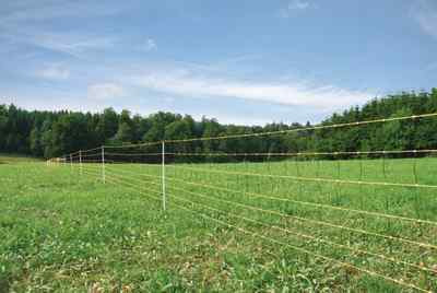 Recinto Di Selvaggina Da 300 M Recinto Di Pascolo - Foto 2