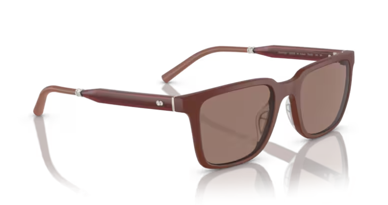Pre-owned Oliver Peoples 0ov5553su Mr. Federer 700253 Semi-matte Brick/sierra Sunglasses In Brown