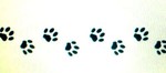 hurrycan.cat