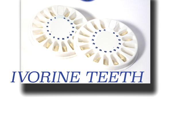 Replacement Teeth Typodont 860 (5 pack) Compatible With Columbia Brand