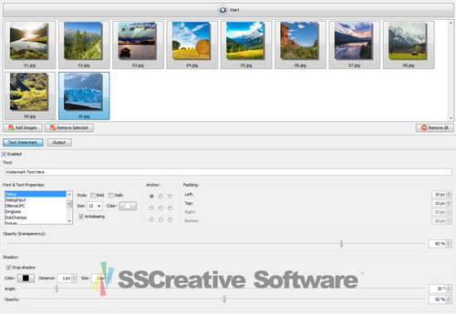 Photo Watermark Software for Image BMP GIF JPG PNG Add Text Logo