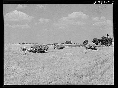 Madison,Wisconsin,WI,Dane County,Farm Security Administration,FSA,August 1941,5
