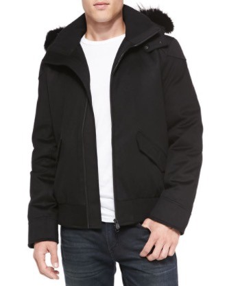 canada goose branta canada goose branta