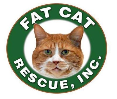 Fat Cat Rescue