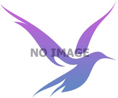 Original OE VOLVO 31251700 Timing Belt Kit