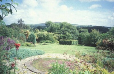 Photo 6x4 Bro Meigan Gardens Llanfair-Nant-Gwyn looking south, camomile l c2004
