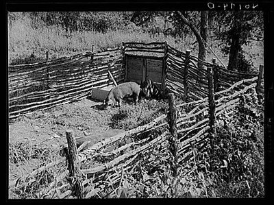 Birdsboro,Pennsylvania,PA,Berks County,Farm Security Administration,1938,FSA,5