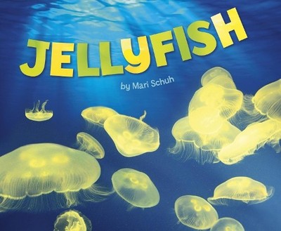 Jellyfish (Sea Life), Schuh, Mari