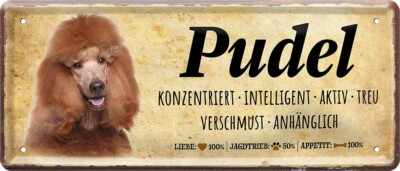  ''Pudel'' 28x12cm Blechschild