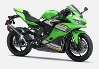 Ninja ZX-4RR Performance, Save 1100