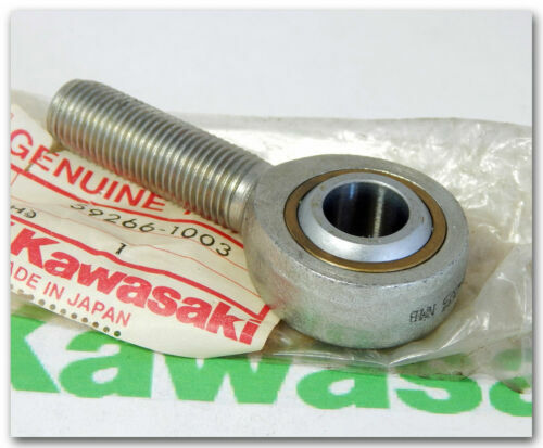 Kawasaki Lager unf Buchsen fürs Motorrad