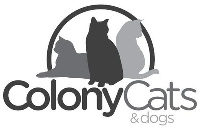 Colony Cats