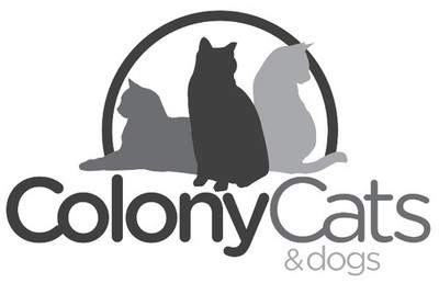 Colony Cats