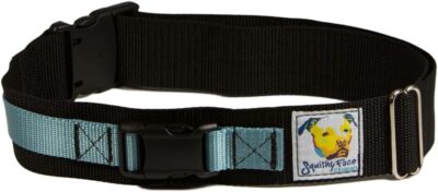  Hands Free Dog Leash Belt - Medium-Large - Ocean Blue