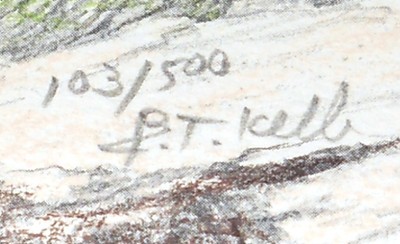 Pencil Elk Print Signed and Numbered 103/500 Very Nice