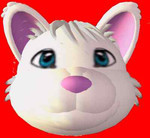 zeucat