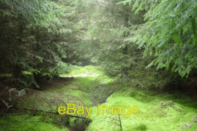 Photo 6x4 Harwood Forest. Steng Moss Elsdon/NY9393 This was a surprising c2004