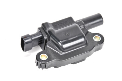 Genuine GM Ignition Coil 12713668 | eBay