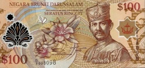 主*人様 ブルネイ $100 紙幣 旧貨幣 100 BRUNEI Dollars Sultan Bolkiah Polymer Banknotes. $100 Brunei