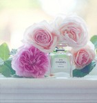 loverosebeauty