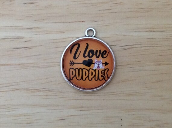 Cat & Dog Charms, Craft Charms, Stainless Glass cabochon Charm