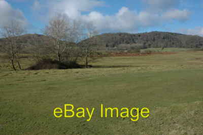 Photo 6x4 Hollybed Common  c2008