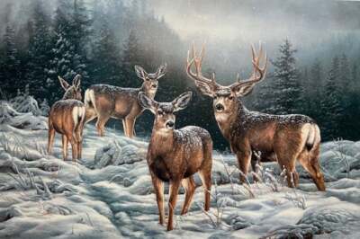 Rosemary Millette - Broken Silence - Mule Deer - S/N Lithograph - Signed - MINT