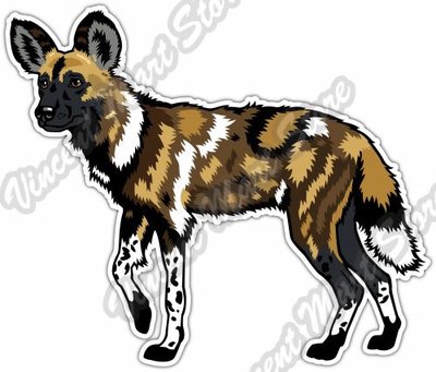 African Wild Painted Dog Africa Car Bumper Window Vinyl Sticker Decal 5''X4''