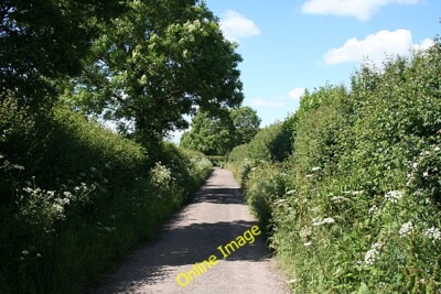 Photo 6x4 Chetnole: Back Lane near Charing Cross The lane features some f c2012