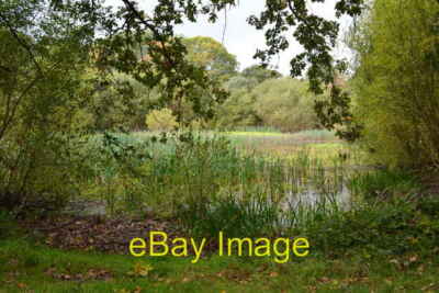 Photo 6x4 Pond on the common  c2014