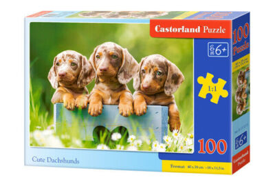 Puzzle 100 elementów. Słodkie jamniki
