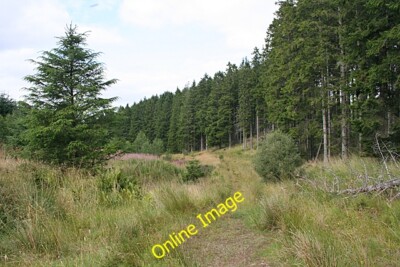 Photo 6x4 Track by the Canna Burn Mulben The track is shown on the maps,  c2013